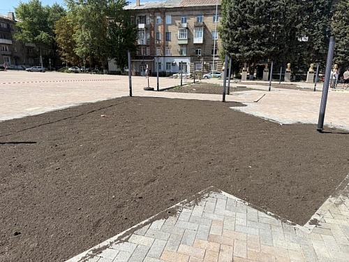 На площади Ленина в Молодогвардейске началось озеленение